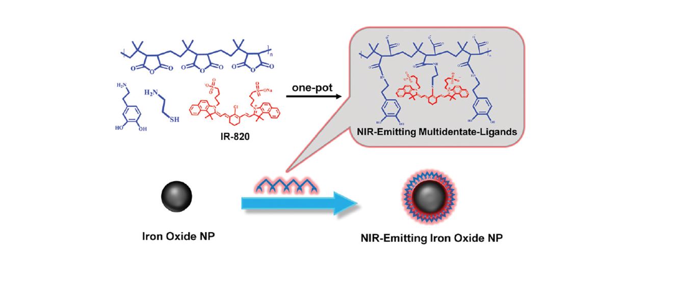 Iron oxide nanoparticles protected by NIR-active multidentate-polymers as multifunctional nanoprobes for NIRF/PA/MR trimodal imaging